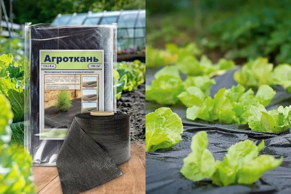  Агроткань полипропиленовая